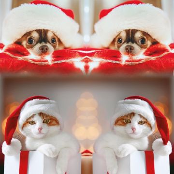 Sock My Christmas Animals - Dames Sokken
